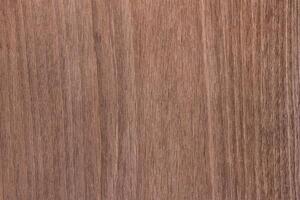 marrón color de naturaleza madera modelo pared para textura y antecedentes foto