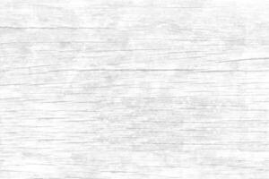 Old wood that has not beautiful and dust on surface white tone color use for background and texture photo