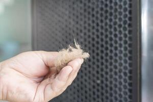 Close up hand a man and cat fur with dust in air purifier filter basic cleaning in home photo