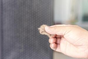 Close up hand a man and cat fur with dust in air purifier filter basic cleaning in home photo