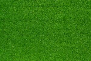 Green grass texture and background use for copy space photo