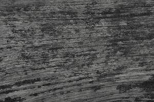 Dark wood has mold on the surface for background and copy space photo