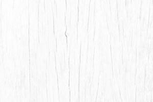 Light white color pattern wood surface or Rough wood grain for texture and copy space in design background photo