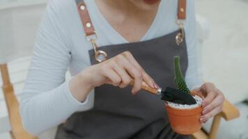 A young Asian woman enjoys gardening at home, Health care and wellbeing concept video