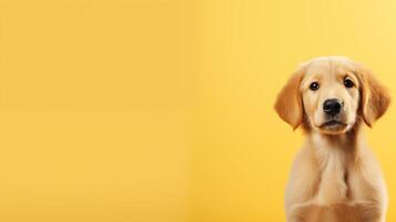 ai generado adorable dorado perdiguero perrito en brillante amarillo antecedentes foto