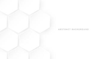 Hexagonal abstract white background. Modern minimalist hexagonal geometric background vector