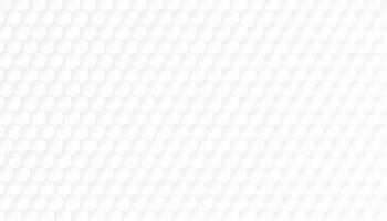 Hexagonal abstract white background. Modern minimalist hexagonal geometric background vector