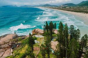 Joaquina beach with trees and ocean with waves in Brazil. Aerial view of coastline photo