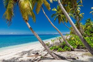 lujo playa en Maldivas isla. tropical bandera con azul Oceano foto