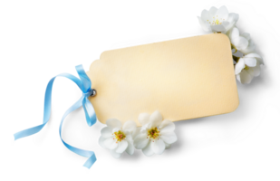 feminin Hochzeit, Geburtstag Attrappe, Lehrmodell, Simulation Szene. leer Papier Gruß Karte mit Blau und Frühling Weiß Blume. transparent Hintergrund und echt transparent Schatten. eben legen, oben Sicht. png