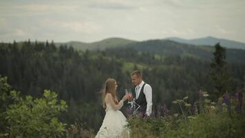 Groom with bride drink champagne on a mountain hills. Wedding couple. Family video