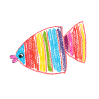 Hand-drawn simple colorful fish. Kid's drawings using pencil technique. Isolated images. For design and card png