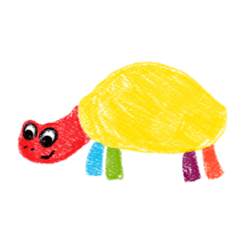 disegnato a mano semplice colorato tartaruga. capretto disegni utilizzando matita tecnica. isolato immagini. per design e carta png