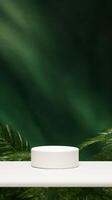 AI generated Serenity White Product Podium Amidst Verdant Greenery for Calm Presentation photo