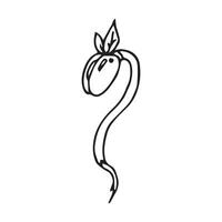 black and white bean sprout cartoon object on white background, vector doodle art