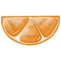 Orangen Illustration damit süß png