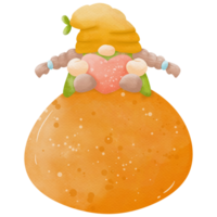 des oranges illustration donc mignonne png