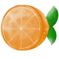 Orangen Illustration damit süß png