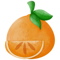 Orangen Illustration damit süß png