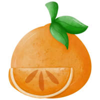 Oranges illustration so cute png