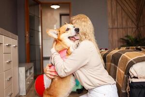 woman loves corgi dog, prepares for trip, summer vacation, inflatable ball, tour, rest, safe transportation of animals. Cuddling. photo