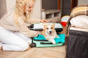 mujer pone corgi perro, cachorro, dentro maleta. preparación para viaje, llegada a hotel, aventura, turismo. amor y cuidado para mascotas, transporte de animales pelota. foto