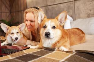 mujer usos rojo computadora portátil, trabajos desde hogar, autónomos, relojes película con corgi perros. en línea compras, comunicación, comercio foto