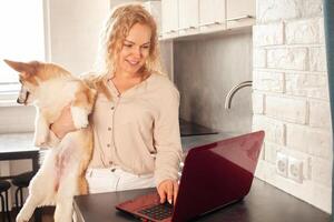 mujer usos rojo computadora portátil, trabajos desde hogar, autónomos, relojes película con corgi perros. en línea compras, comunicación, comercio. cocina. foto