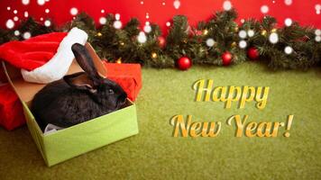 black rabbit is symbol of 2023, Christmas, new year, winter holiday. Beautiful red background, Christmas tree with balls and garland, empty space for text, copy space. inscription. photo