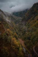 Landscape in Romania, Carpathian Mountains. Foggy morning, rainy, cloudy bad weather. Background, screensaver. Beautiful nature, peace and tourism. forest. photo