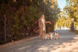 beautiful woman walks with two corgi dogs in park in fall. Happy, smiling, portrait. coat. photo