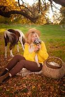 Beautiful screensaver, background, autumn forest, woman and pony in nature, concept of love, peace and goodness. smells flowers. photo