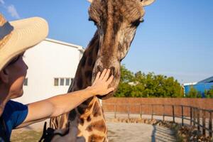 hermosa hombre golpes un jirafa en el bioparque. cerca comunicación con salvaje africano animales un turista feliz, disfruta tomando cuidado. vegetariano. negocio turismo foto