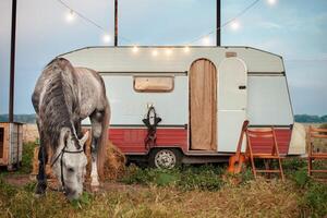 gray horse, mobile trailer, glowing garland photo