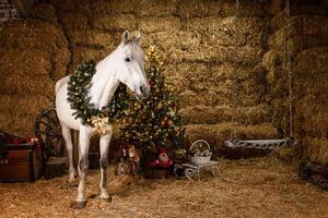 Christmas decorations on the stables photo