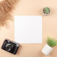 Mocup on a beige background. Beautiful plants, empty space for text. Advertising is a design post. flat lay Camera For the photographer photo