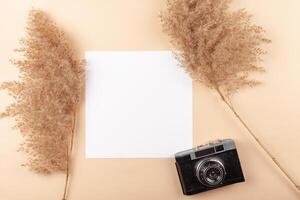 Mocup on a beige background. Beautiful plants, empty space for text. Advertising is a design post. flat lay Camera For the photographer photo