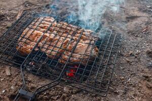 marinado Cerdo en un parrilla en el bosque. carne es frito en carbones, fuego, en el río banco. parrilla en el Campaña camino. carne es cocido en carbón desde ramas foto