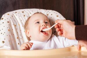 sweet kids eating healthy food in kindergarten or at home photo