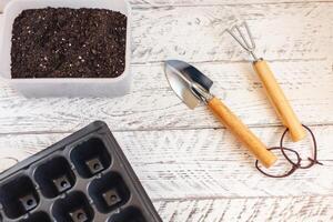 Home gardening. Plant care. White wooden background photo