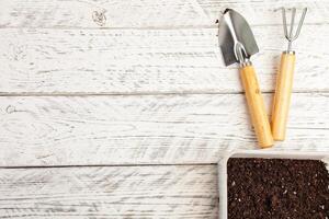 hogar jardinería. planta cuidado. blanco de madera antecedentes foto