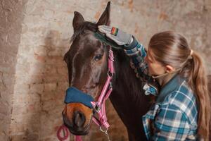 el niña limpia el caballo desde polvo y suciedad con un especial cepillar. foto