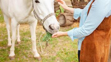 love, care for animals. nature, spring photo