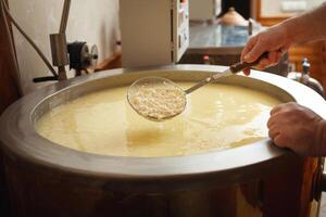 Cheese production from milk, home business, food, eco-friendly and tasty products. Serum in vat. cooking photo