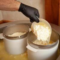 Cheese production from milk, home business, food, eco-friendly and tasty products. Serum in vat. process photo