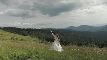 bellissimo sposa nel nozze vestito restare su il montagne. solleva sua mano su video