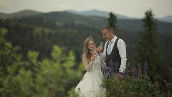 Groom with bride drink champagne on a mountain hills. Wedding couple. Family video