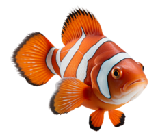 AI generated clownfish animal portrait with transparent background.generative ai png