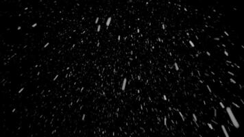 Seamless Loop of Real Snow Falling on a Black Background video