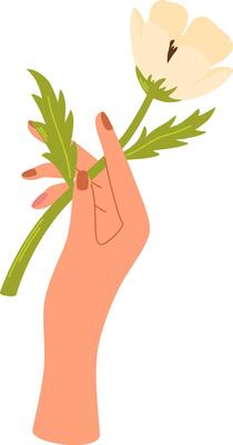 Hand holding flower. Spring garden flowers and summer wildflower. Romantic floral decorative element isolated. Elegant summer gifts. Flat vector illustration.
